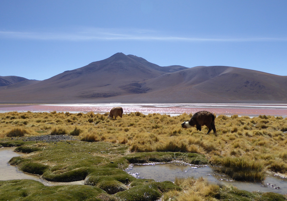 Beste Reisezeit Bolivien