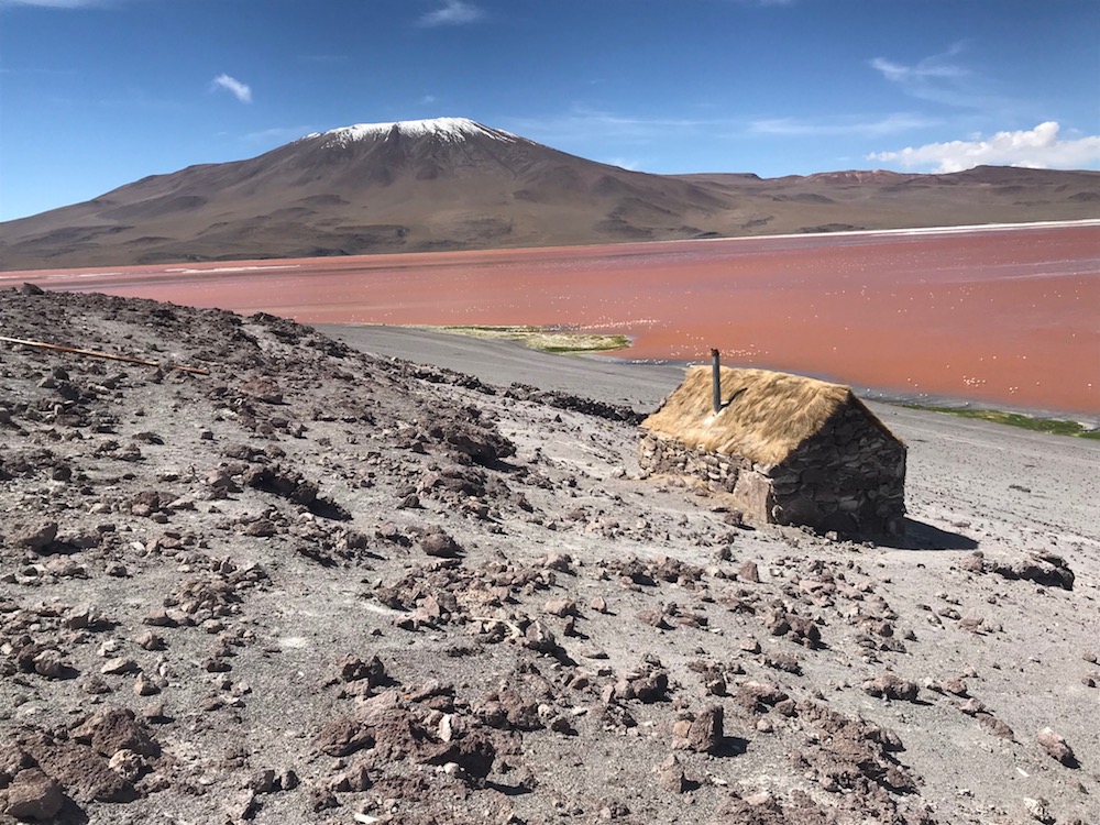 Laguna colorada in Bolivien